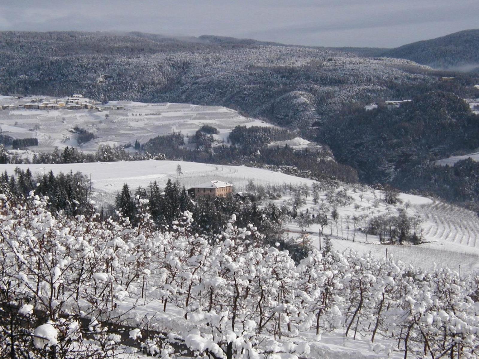Locanda Alpina Brez المظهر الخارجي الصورة